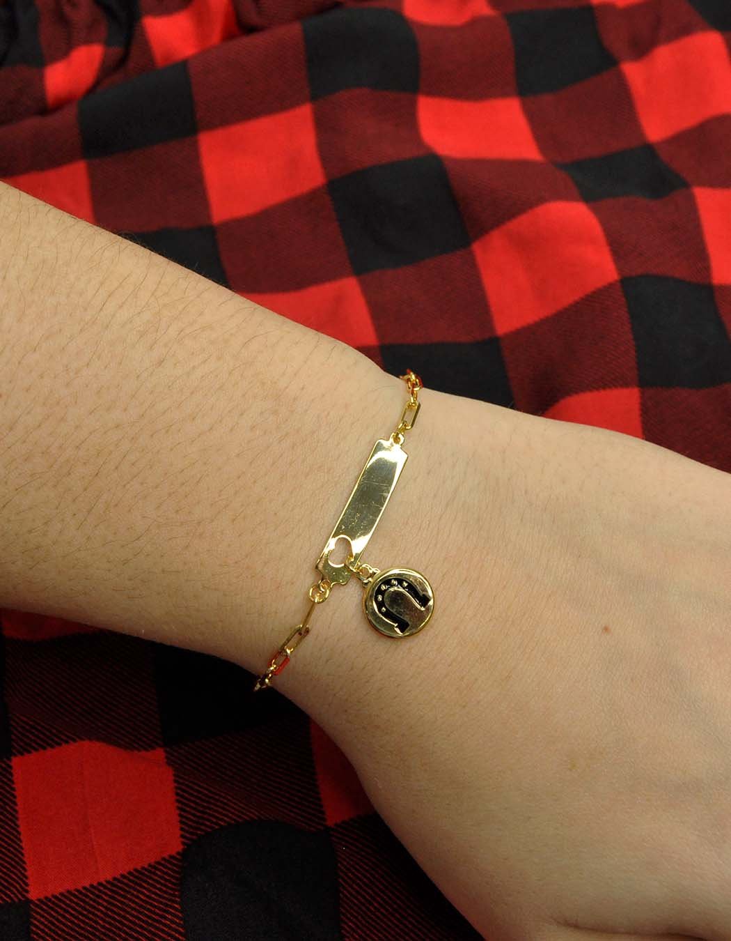 Pulseira Placa e Medalha Ferradura Cartier banhada a Ouro 18k